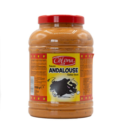 SAUCE ANDALOUSE 2800 G PET COLONA